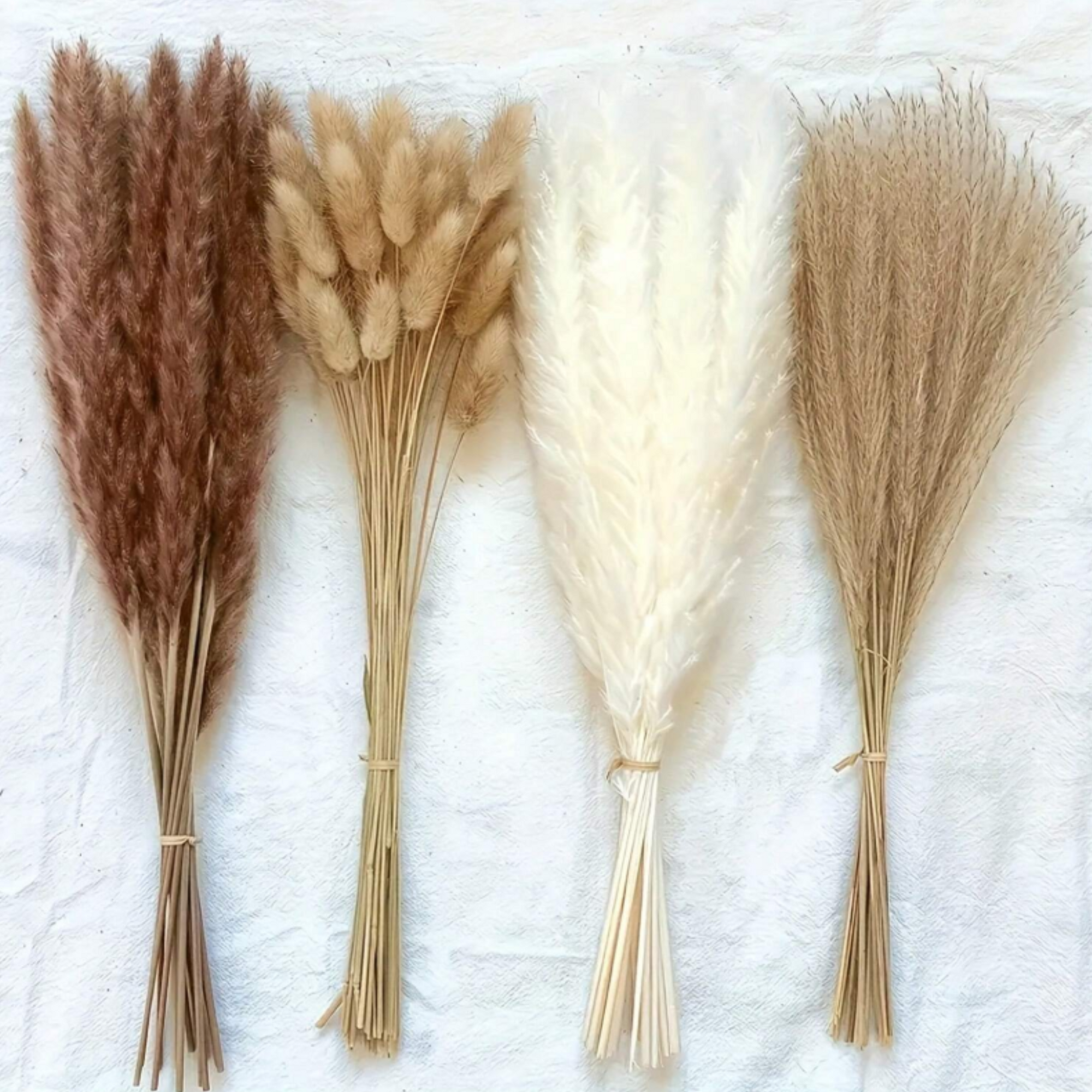 38pc Assorted Bunches of Pampas Decorative Grass