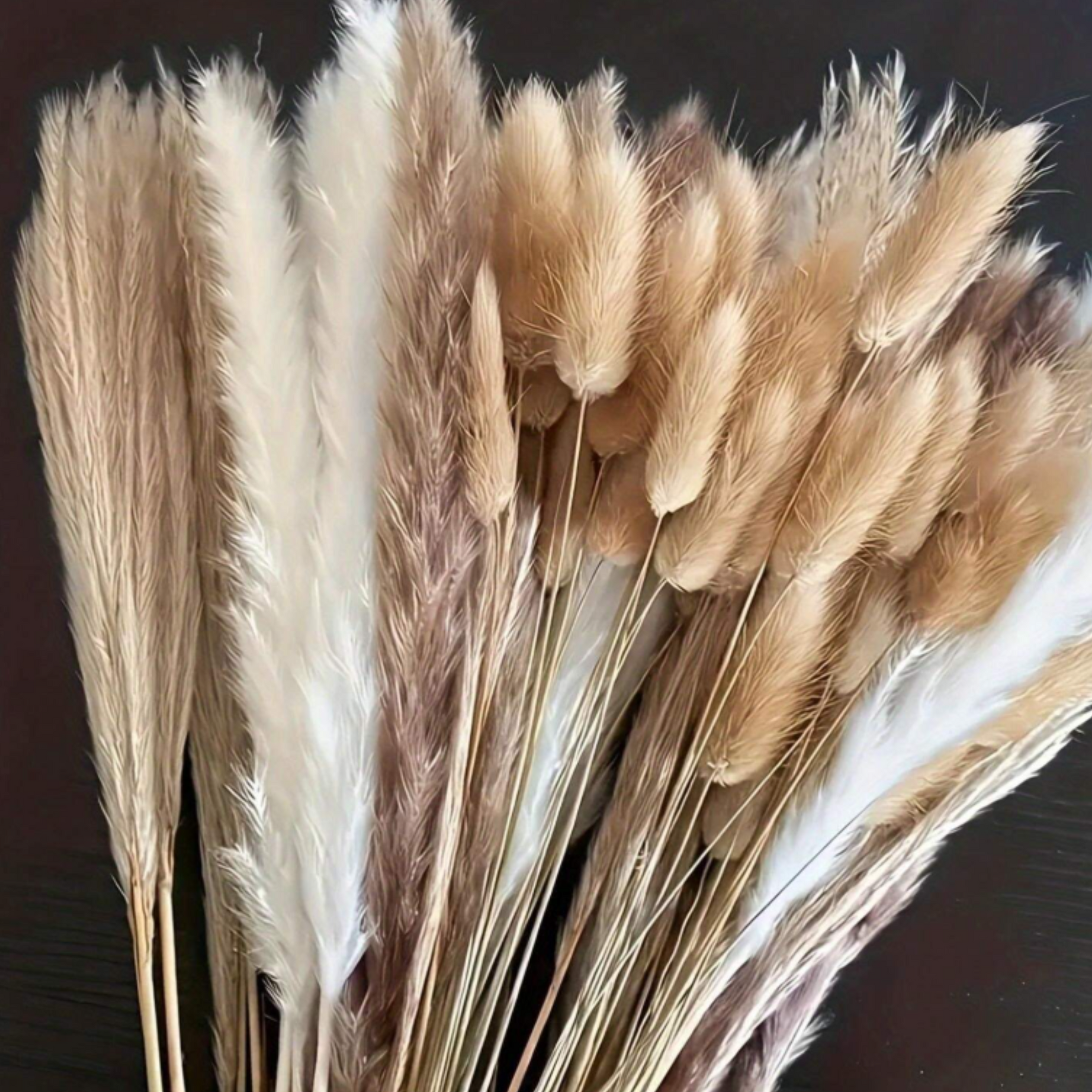 38pc Assorted Bunches of Pampas Decorative Grass