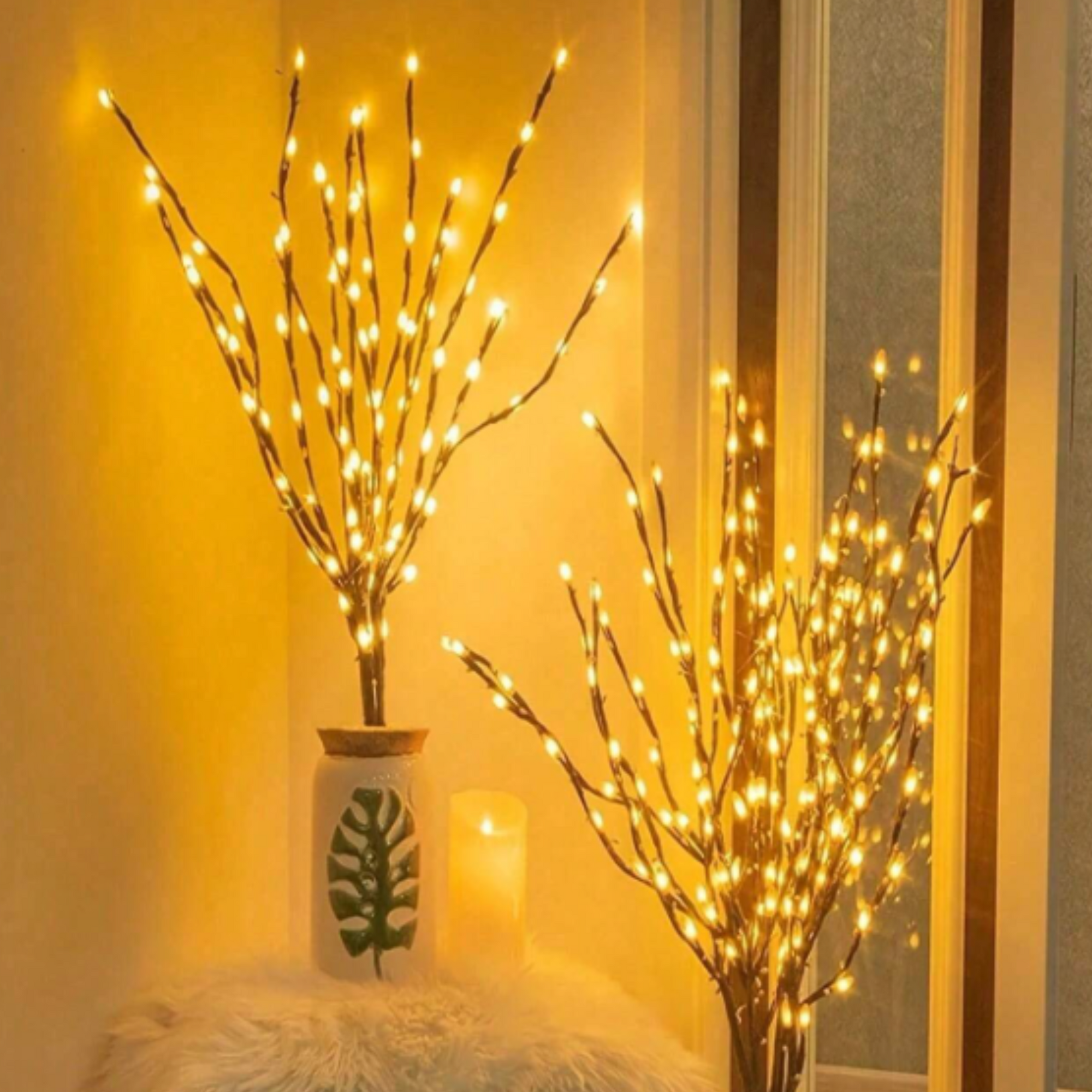 LED indoor decor