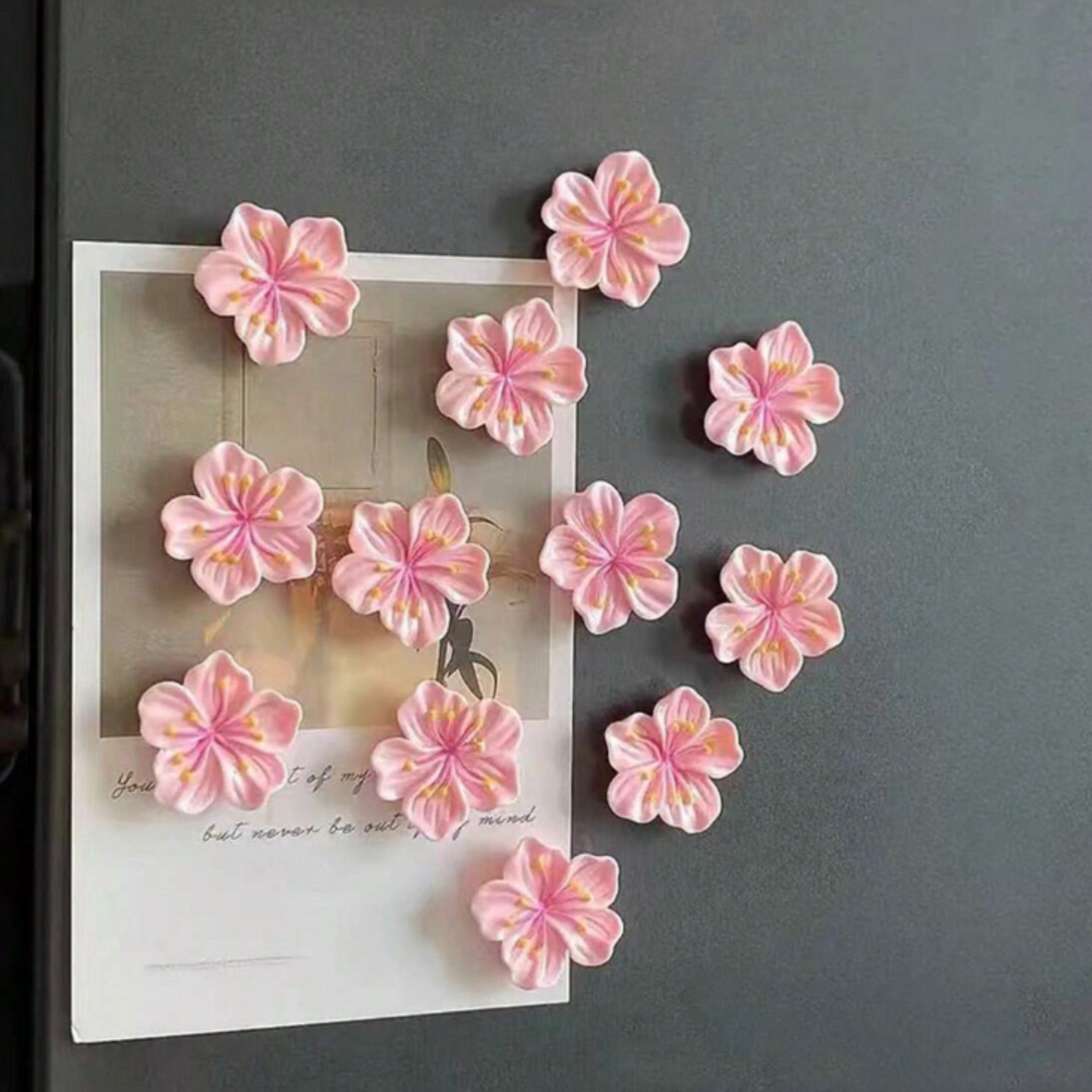 fridge magnets set