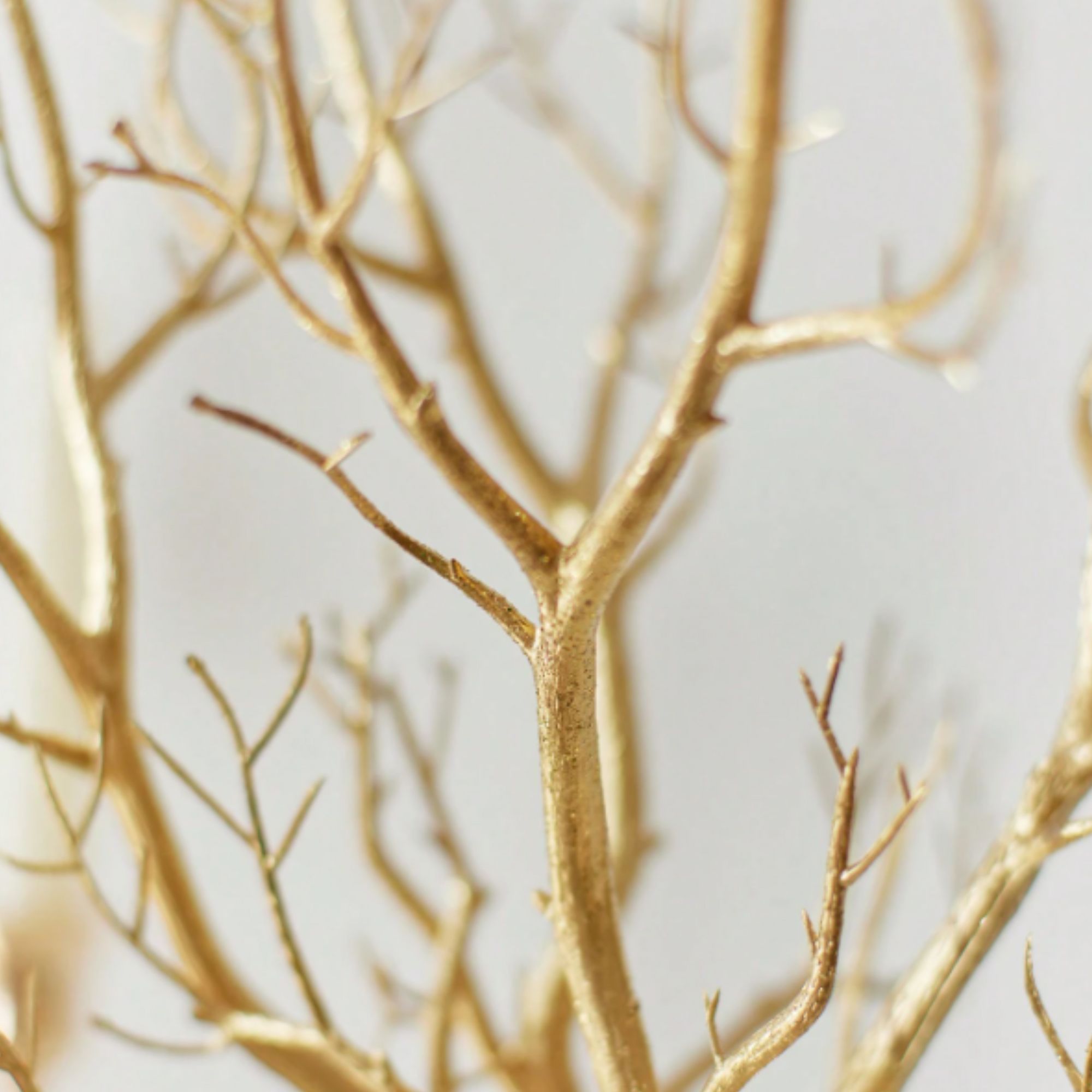 tree branch for decor