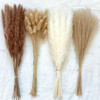 38pc Assorted Bunches of Pampas Decorative Grass